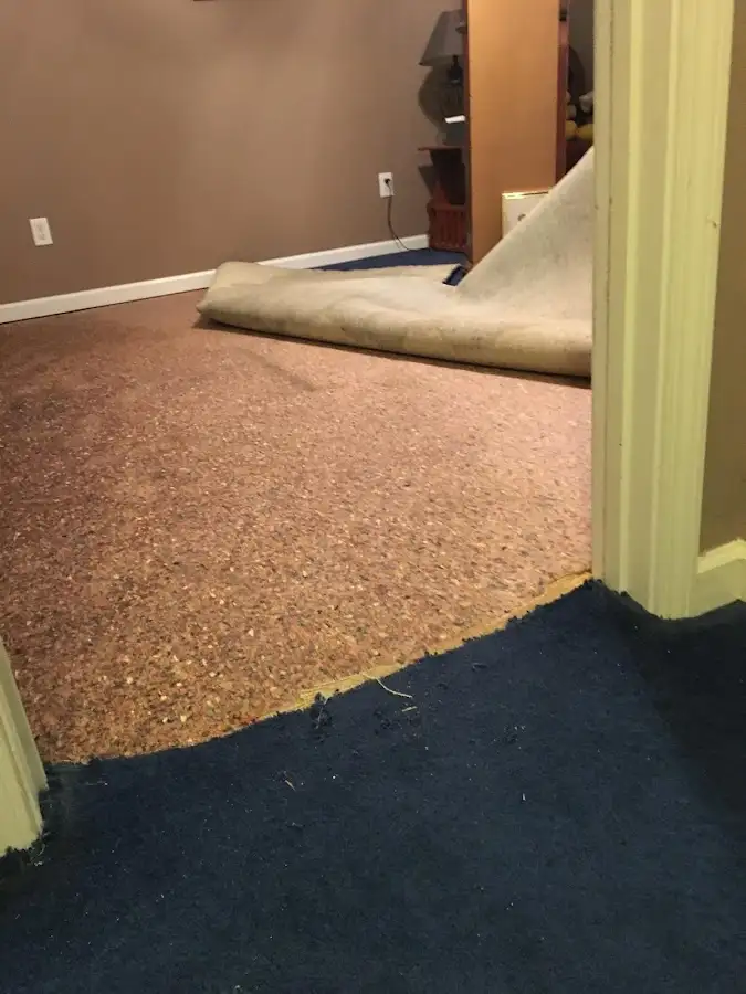 Carpet pad removal revealing water damage during Water Mitigation Services in Crafton